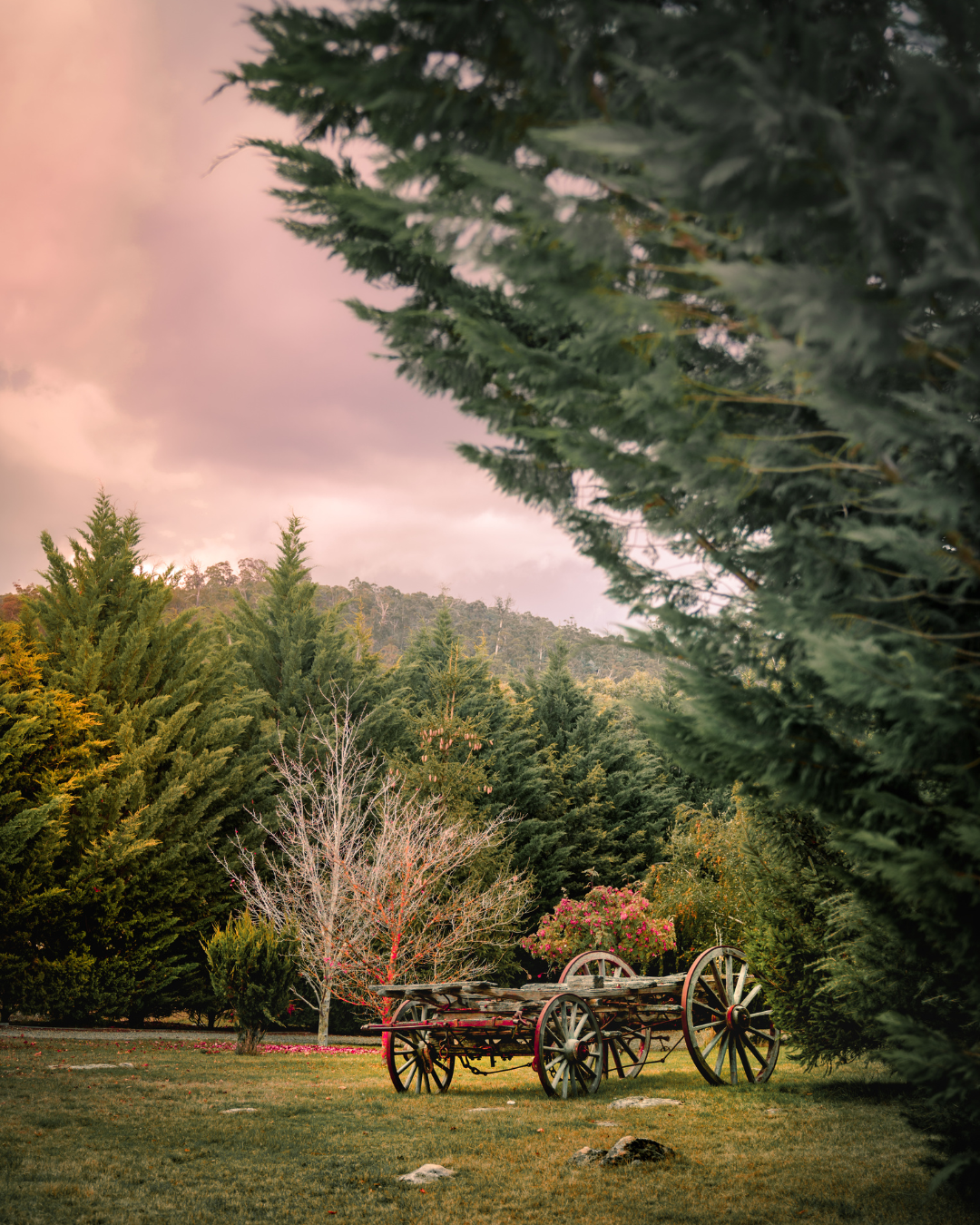 Cloud Nine in Nigeria: Escaping to the Majestic Obudu Mountain Resort